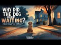 The Dog Who Waited A Bedtime Story Of Loss Love And Coming Home The Dog Who Waited A Bedtime Story Of Loss Love And Coming Home