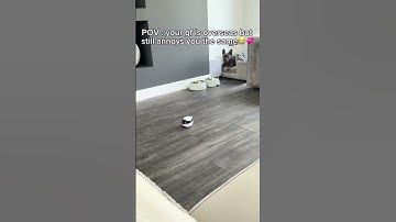 I need to take her access away to this robot😭 #robot #funny #comedy #couples