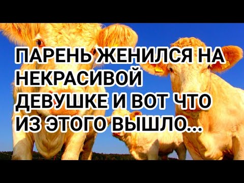 Сколько стоит невеста? Послушайте притчу