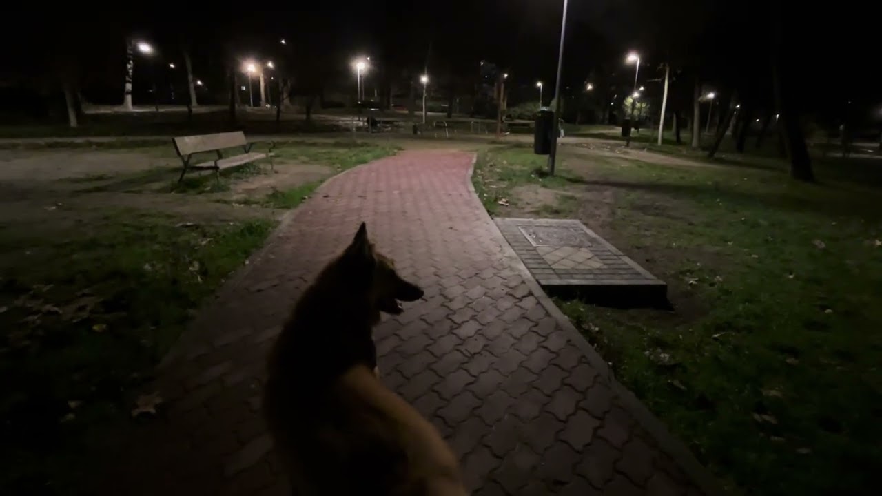 Duque 48 meses 【Espana 】385