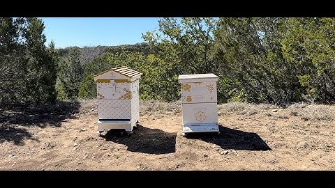 The Great Beekeeping Debate: Flow vs Langstroth Hive