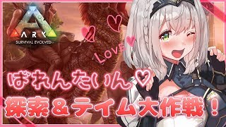 白銀ノエル、Youtube、ライブ、live、ユーチューブ