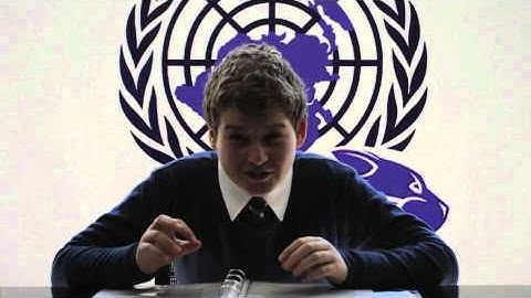 WildMUN Training Program - What is Model UN?