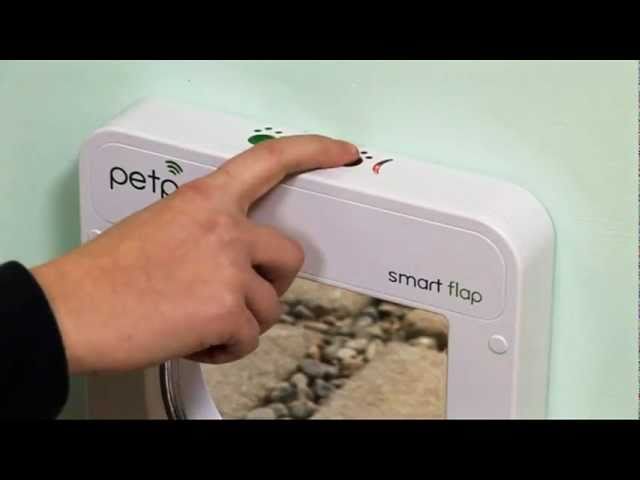 Petporte flap® Microchip Cat Flap - YouTube
