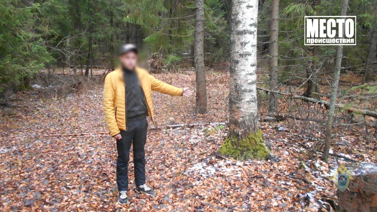 Сводка  Взятка пьяного водителя в Зуевском районе  Место происшествия 12 01 2022