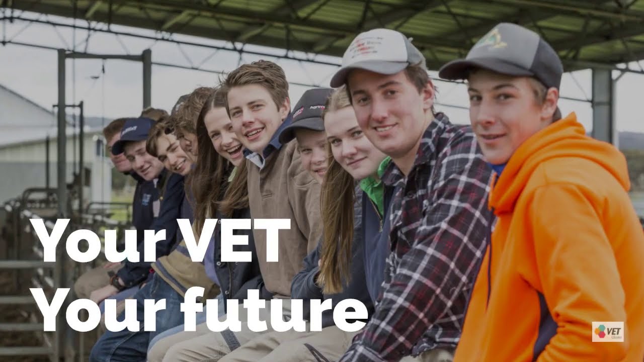 What Is VET YouTube