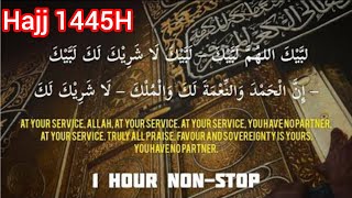 Download Lagu Labbaik Allahuma Labbaik | Hajj1445H | One Hour Talbiyah  | لَبَّيْكَ ٱللَّٰهُمَّ لَبَّيْك MP3