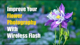 How To Improve Your Flower Photography with Wireless Flash