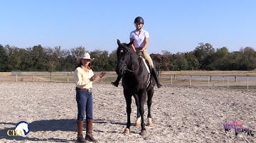 Emergency Dismount with Julie Goodnight