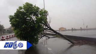 Hải Phòng-Quảng Ninh căng mình chống bão số 7 | VTC