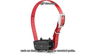 Garmin PT10 Dog Device Collars Review: Worth the Investment for Serious Trainers?