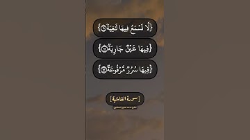 سورة الغاشية الآية ٨ الى ١٦ بصوت الشيخ محمد صديق المنشاوي