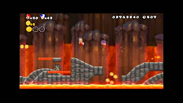 ニュースーパーマリオブラザーズ2隠しゴール