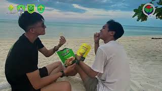 Profil Bumk Inaran Tahun 2025