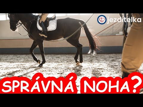 Video: Ako nosiť kravatovú svorku: 6 krokov (s obrázkami)