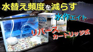 【苔対策】水替え頻度を減らす水槽立ち上げ　リバースグレイン+水作エイト
