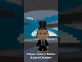 Natural Disasters survival SECRET #roblox #gaming #secret