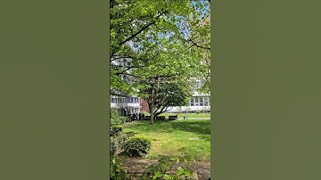 Frühling in Deutschland/Spring in Germany 🌧🌸☔️🌈 #shorts #spring #frühling