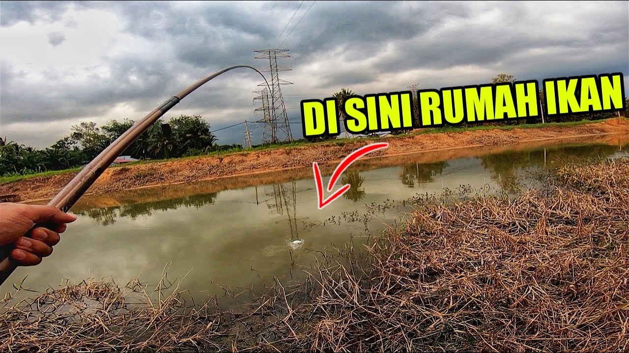 TEKNIK MEMANCING IKAN LAMPAM TALI AIR