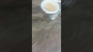 Eden Hason And Yasmin   