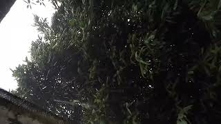 VID 20260807 172141 Raining