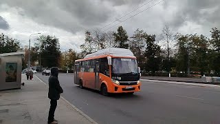 Автобус ПАЗ-320415-14 "Vector Next" остановка Метро "Горьковская" (Нижний Новгород) 24.09.2025