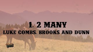 Download Mp3 Luke Combs, Brooks & Dunn - 1, 2 Many (Lyrics) Gudang lagu Download Mp3 Luke Combs, Brooks & Dunn - 1, 2 Many (Lyrics)