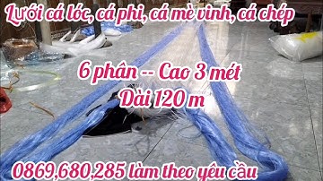Lưới Cá Lóc - Lưới Cá 3 Màn Chìm - Lưới Cá Phi Cá Chép lưới cá 6 Phân Cao 3 mét dài 120 m