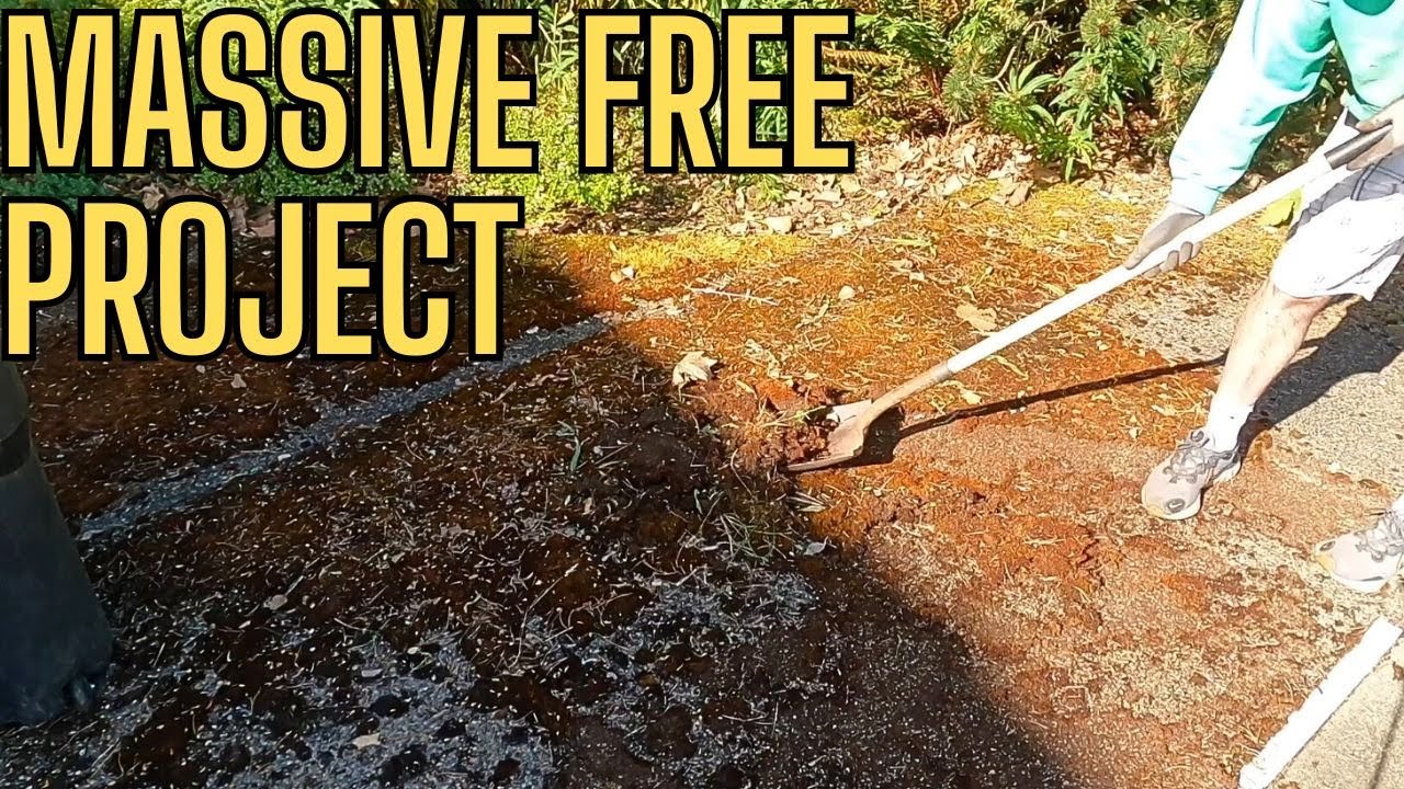 Charity Work For a Lovely Lady. 