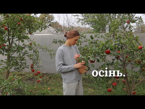 Видео: осінь