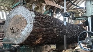Sawing pine trunks perfectly