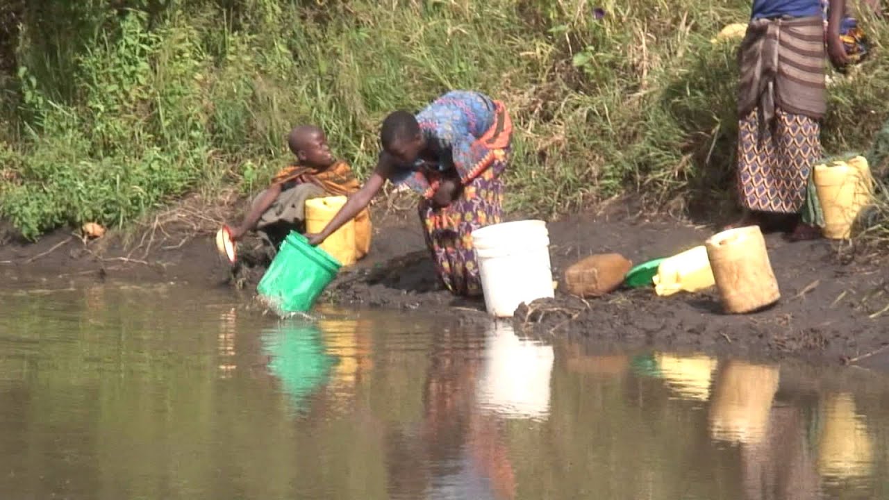 Students of the World 2011