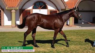 11 EL BARBARO