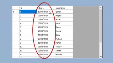 Format date in DataGridView column in custom format- dd/MM/yyyy- Visual basic .net