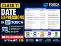 Class11 - Date Expressions in Tosca (Explained in English and Telugu)
