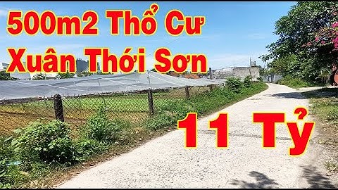Bán Đất Hóc Môn Xuân Thới Sơn Hóc Môn Sổ Hồng Riêng 11 Tỷ