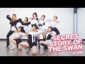 IZ*ONE 아이즈원 - '환상동화 (Secret Story of the Swan)' | 커버댄스 DANCE COVER | 8명 버전 8MEMBERS VER.