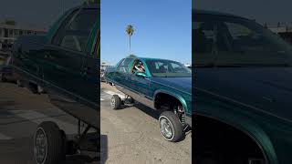 Suga Bear Crusing Reo January 19, 2025