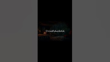 سورة التغابن | القارئ رعد الكردي #قرآن