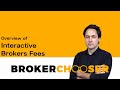 Interactive brokers fees by brokerchooser