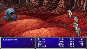 Final Fantasy II - Roundworm