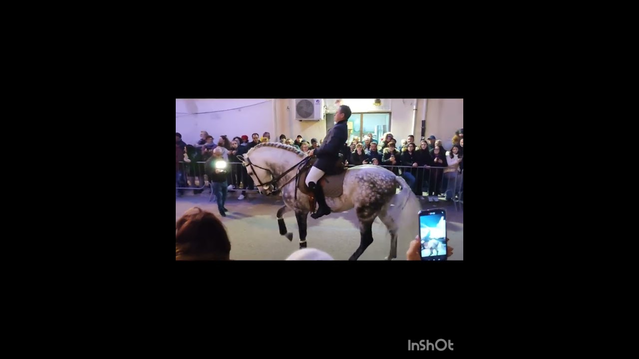 Cavalcata san Giuseppe donnalucata 2023