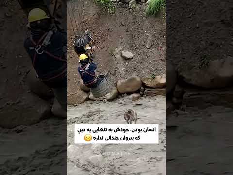 نجات سگ توسط آتش نشان