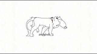 Cat walk cycle WIP | #cats #warriorcats #wip #animation #walkcycle