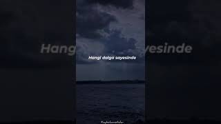 Bilmem Hangi Rüzgar Attı