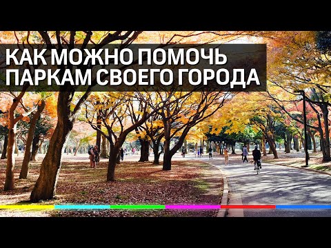 Как каждый может помочь парку своего города? Общественные советы в Подмосковье