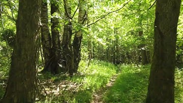 Is it true that re-usability is at times overrated?