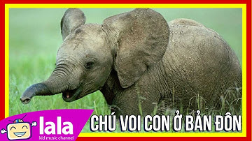 Chú voi con ở bản Đôn hay nhất - Cao Lê Hà Trang - Nhạc thiếu thi Việt Nam hay nhất