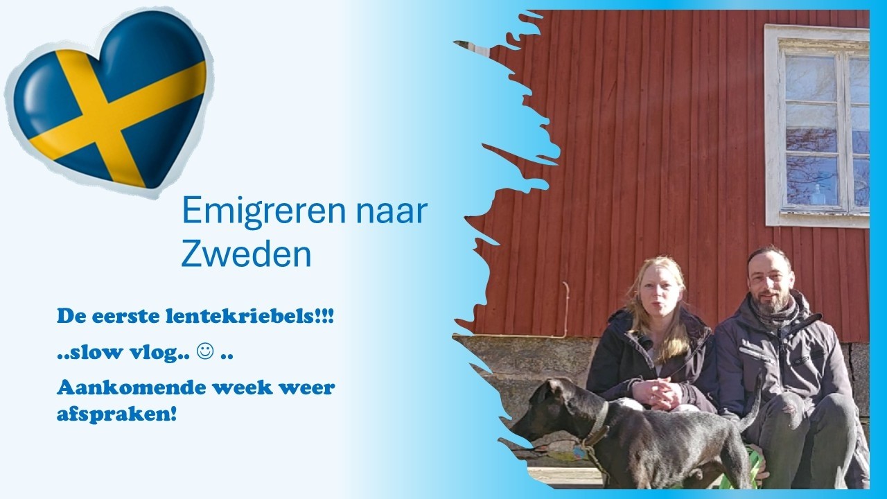Vlog 24 -  Emigreren naar Zweden, voorjaarskriebels en afspraken plannen