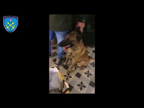 20,501kg κοκαΐνη και περίπου 166.317 δισκία ECSTASY στη Ρόδο